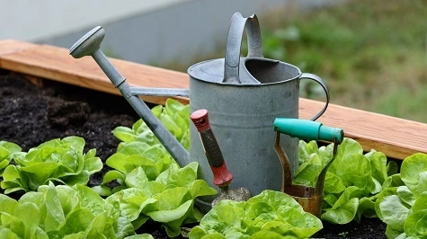 Gardening Courses