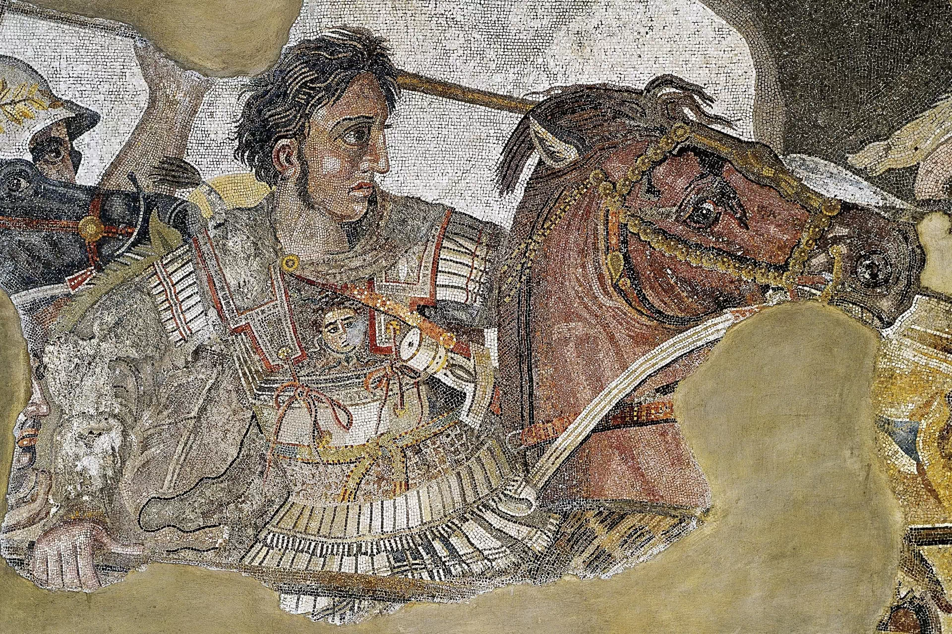 Ancient History Courses