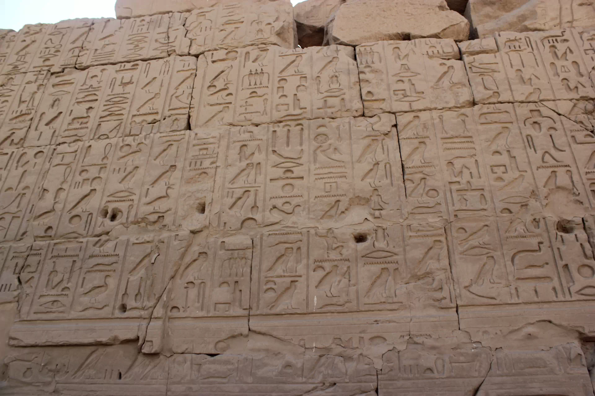 Ancient History Courses