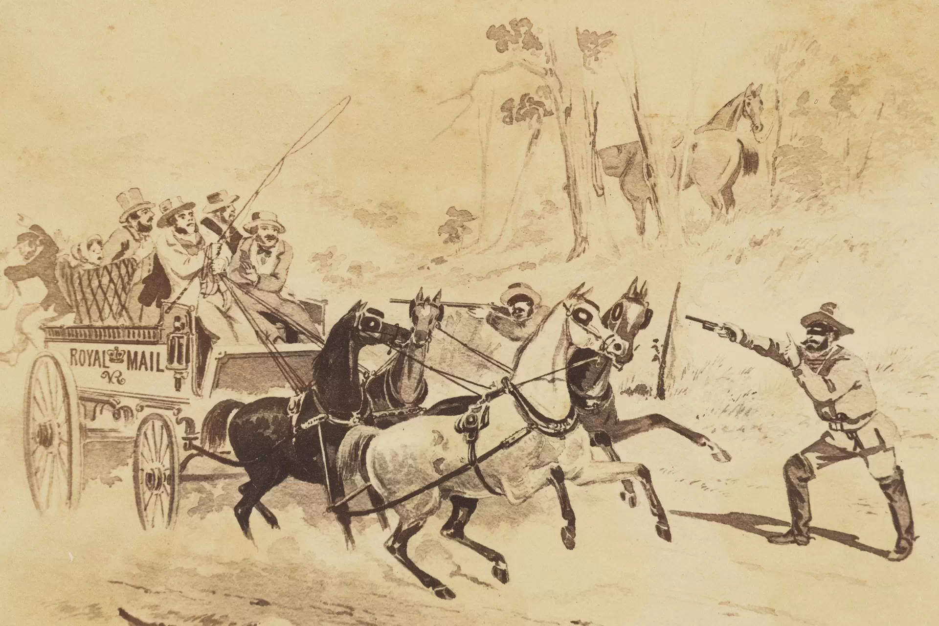 Australian History Courses