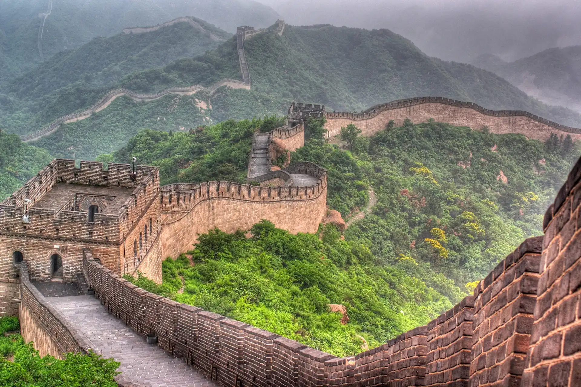 World History Courses