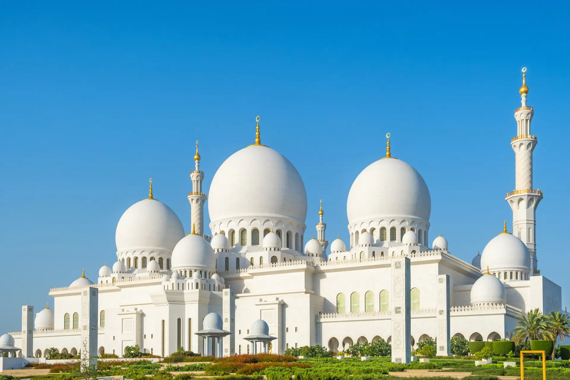 Modern Arabic Language Courses