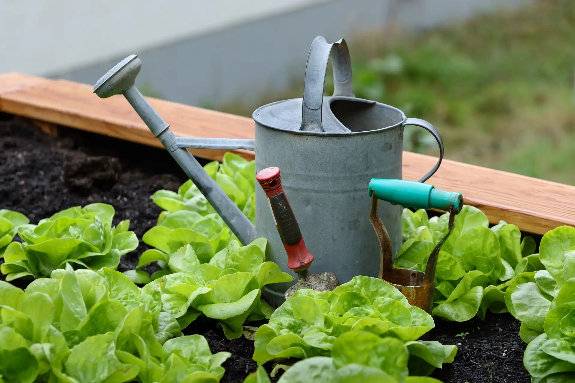 Gardening Courses