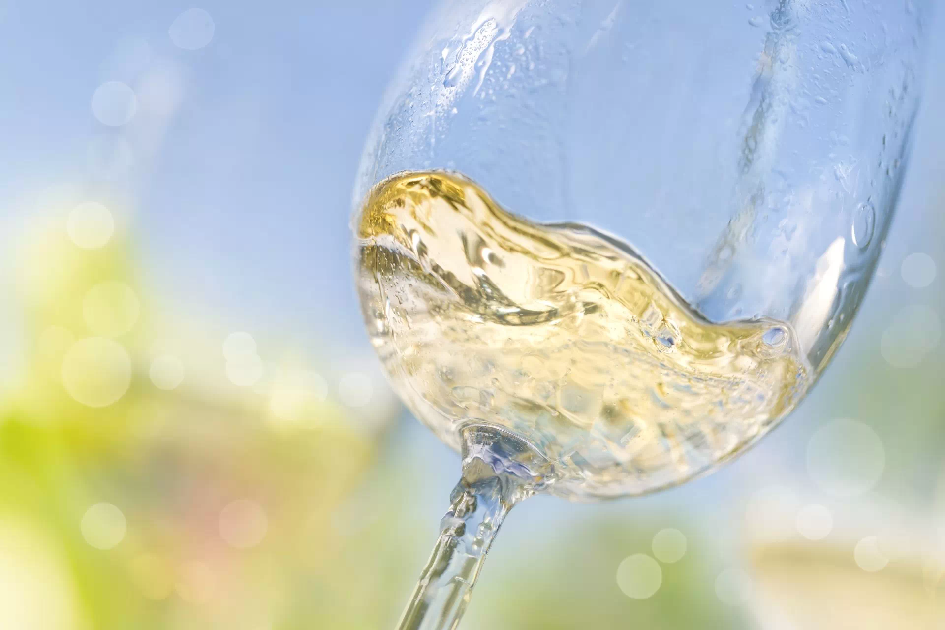 Wine Tasting Courses