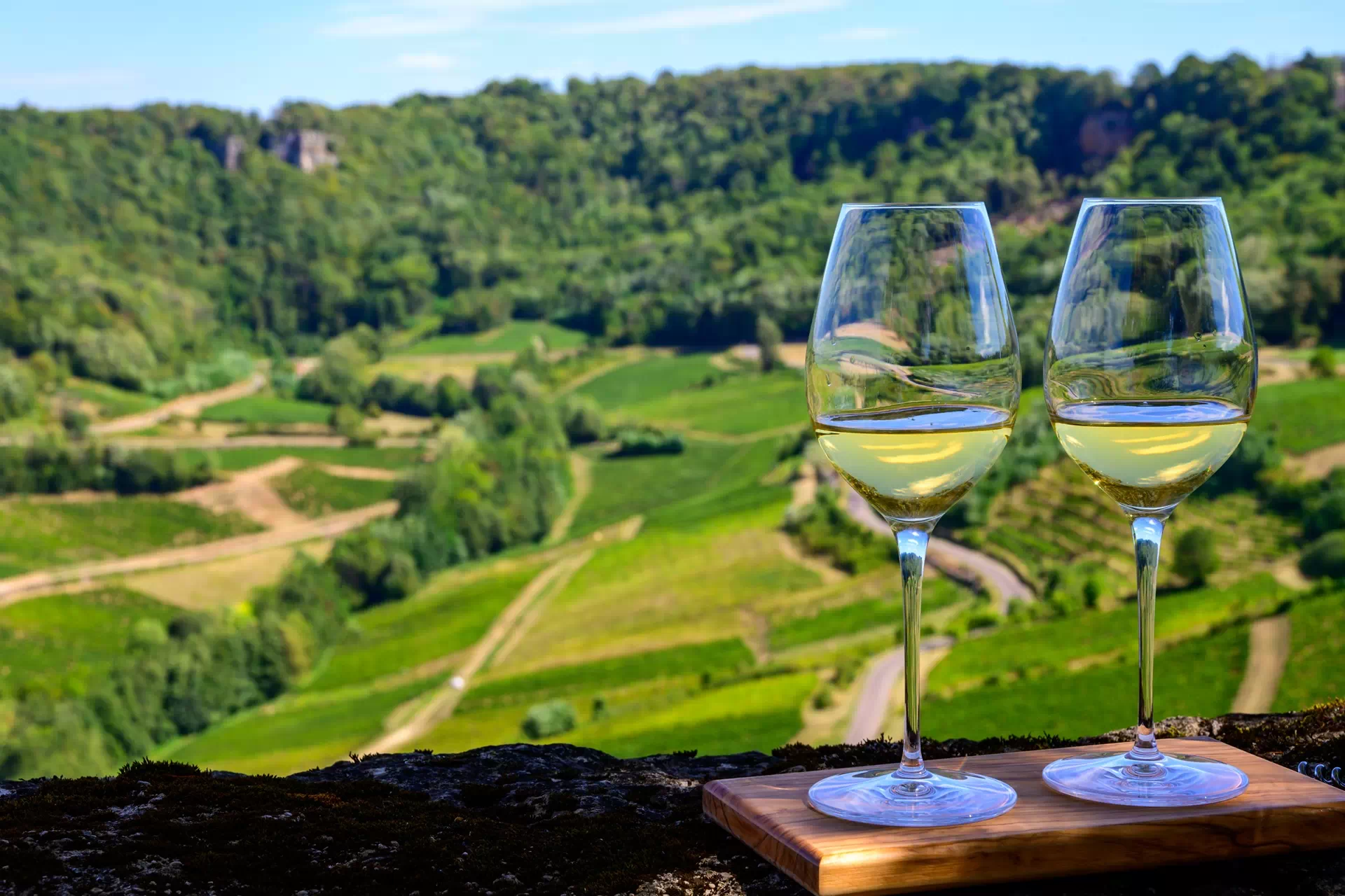 Wine Tasting Courses