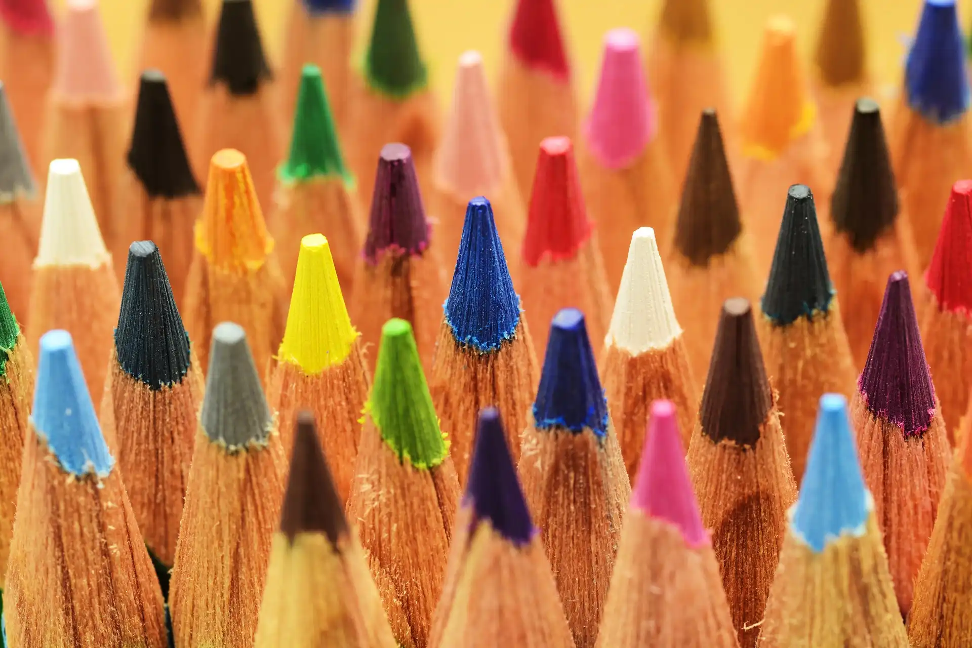 Drawing and Painting Courses